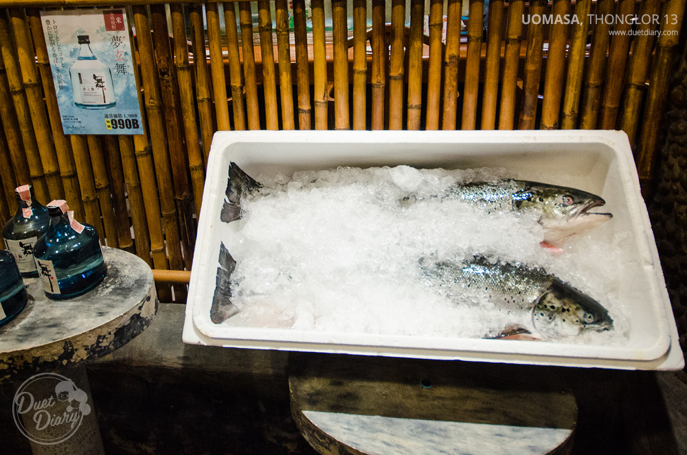 uomasa,salmon,ปลาแซลมอน,แซลมอน,ปลาดิบ,ซูชิ,ซาซิมิ,ซูชิอร่อย,ร้านซูชิ,อุโอมาสะ,ทองหล่อ,ร้านอร่อย,ร้านอาหารญี่ปุ่น,รีวิว,แนะนำ,pantip,duetdiary