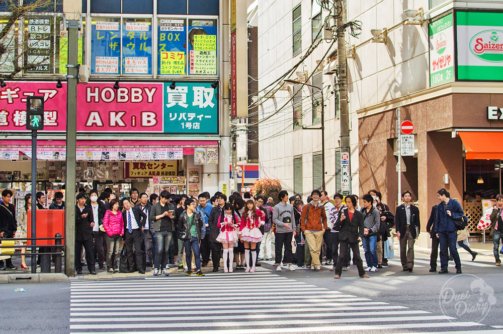 akihabara, tokyo, การท่องเที่ยวญี่ปุ่น, ญี่ปุ่น, ที่เที่ยวญี่ปุ่น, ที่เที่ยวในโตเกียว, ท่องเที่ยวญี่ปุ่น, ร้านอาหารญี่ปุ่น, สถานที่ท่องเที่ยวโตเกียว, สถานที่ท่องเที่ยวในญี่ปุ่น, สถานที่ท่องเที่ยวในโตเกียว, อากิฮาบาระ, อาหารญี่ปุ่น, อาหารแนะนำ, เที่ยวญี่ปุ่น โตเกียว, เที่ยวโตเกียว, ไปญี่ปุ่น