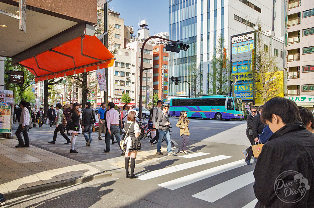 akihabara, tokyo, การท่องเที่ยวญี่ปุ่น, ญี่ปุ่น, ที่เที่ยวญี่ปุ่น, ที่เที่ยวในโตเกียว, ท่องเที่ยวญี่ปุ่น, ร้านอาหารญี่ปุ่น, สถานที่ท่องเที่ยวโตเกียว, สถานที่ท่องเที่ยวในญี่ปุ่น, สถานที่ท่องเที่ยวในโตเกียว, อากิฮาบาระ, อาหารญี่ปุ่น, อาหารแนะนำ, เที่ยวญี่ปุ่น โตเกียว, เที่ยวโตเกียว, ไปญี่ปุ่น