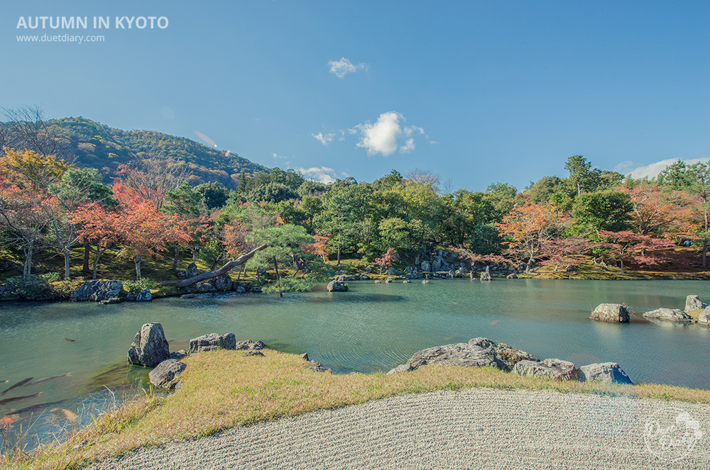 ที่เที่ยวญี่ปุ่น, เที่ยวญี่ปุ่น เกียวโต,ที่เที่ยวในเกียวโต,เที่ยวเกียวโต,การท่องเที่ยวญี่ปุ่น,ท่องเที่ยวญี่ปุ่น,อาราชิยามะ,ใบไม้เปลี่ยนสี,arashiyama,kyoto,ใบไม้แดง,รีวิว,ใบไม้แดง เกียวโต,pantip