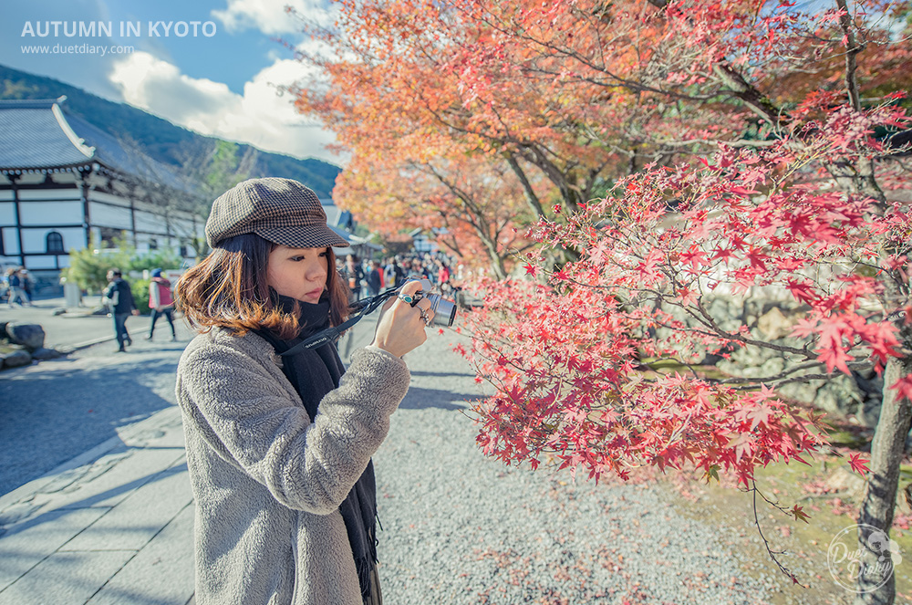 ที่เที่ยวญี่ปุ่น, เที่ยวญี่ปุ่น เกียวโต,ที่เที่ยวในเกียวโต,เที่ยวเกียวโต,การท่องเที่ยวญี่ปุ่น,ท่องเที่ยวญี่ปุ่น,อาราชิยามะ,ใบไม้เปลี่ยนสี,arashiyama,kyoto,ใบไม้แดง,รีวิว,ใบไม้แดง เกียวโต,pantip