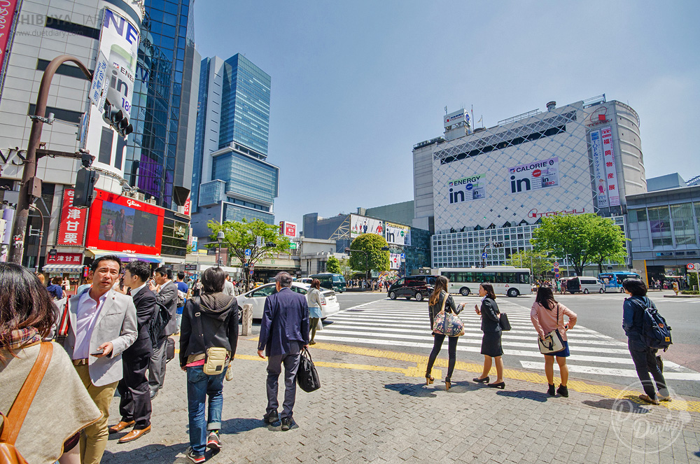 shibuya, tokyo, tonkatsu, torikatsu chicken, ญี่ปุ่น, ทงคัตสึ, รีวิว, ร้านอร่อย, หมูทอด, ที่เที่ยวญี่ปุ่น, อาหารแนะนำ,เที่ยวญี่ปุ่น โตเกียว,สถานที่ท่องเที่ยวในโตเกียว,ที่เที่ยวในโตเกียว,เที่ยวโตเกียว,การท่องเที่ยวญี่ปุ่น,ท่องเที่ยวญี่ปุ่น,สถานที่ท่องเที่ยวในญี่ปุ่น,สถานที่ท่องเที่ยวโตเกียว,ไปญี่ปุ่น