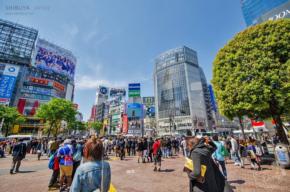 เที่ยวญี่ปุ่น#4 : ตามล่าทงคัตสึสุดอร่อยที่ Shibuya