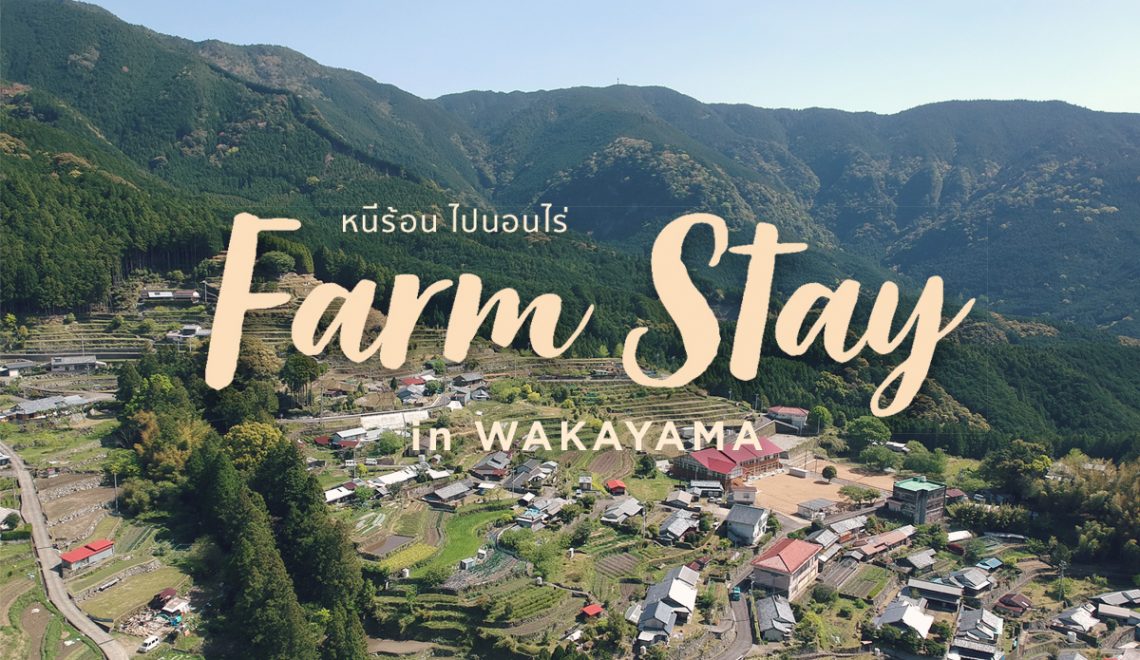 สโลว์ไลฟ์ ใจกลางหุบเขา ที่ Farm Stay, Wakayama